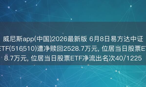 威尼斯app(中国)2026最新版 6月8日易方达中证云贪图与大数据主题ETF(516510)遭净赎回2528.7万元， 位居当日股票ETF净流出名次40/1225