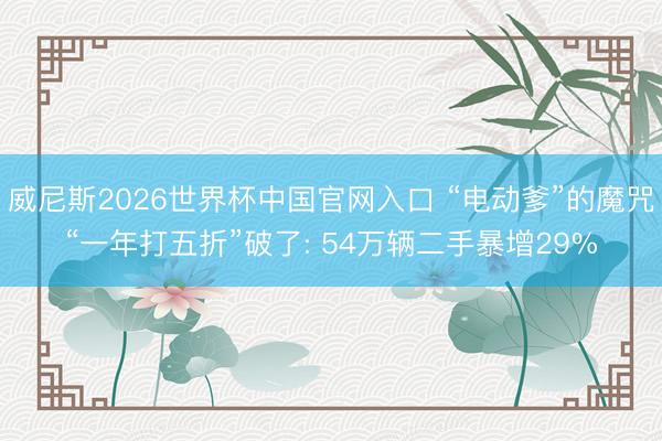 威尼斯2026世界杯中国官网入口 “电动爹”的魔咒“一年打五折”破了: 54万辆二手暴增29%