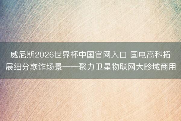 威尼斯2026世界杯中国官网入口 国电高科拓展细分欺诈场景——聚力卫星物联网大畛域商用