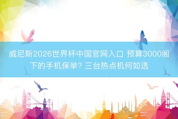 威尼斯2026世界杯中国官网入口 预算3000阁下的手机保举? 三台热点机何如选