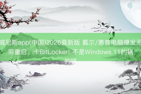 威尼斯app(中国)2026最新版 戴尔/惠普电脑爆发无穷重启、卡BitLocker! 不是Windows 11的锅