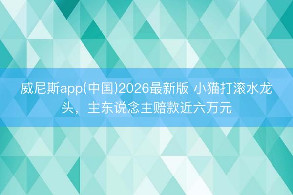 威尼斯app(中国)2026最新版 小猫打滚水龙头,主东说念主赔款近六万元